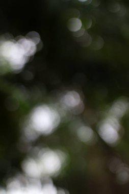 Yumuşak, odak dışı ışıklar hayal gibi, soyut bir hissi çağrıştırıyor, dizaynlara biraz sihir katmak için mükemmel..