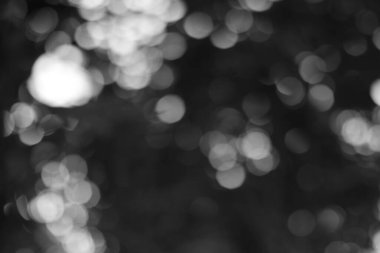 Monokromatik bir bokeh soyut ve rüya gibi bir his yaratıyor. Arka plan kadar mükemmel bulanık bir doku..