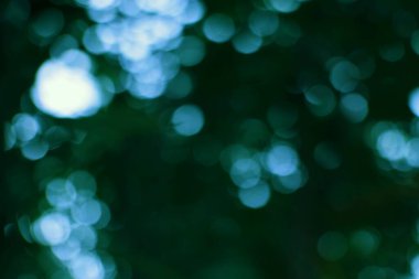 Yumuşak bulanık ışıklar gizemli ve rüya gibi bir doğa sahnesi yaratır. Geçmişe ince bir etki katmak için mükemmel..