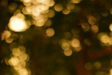 Soyut bulanık arkaplan, altın bokeh ışıkları ve ince doğal tonlar rüya gibi, yumuşak bir etki yaratıyor.