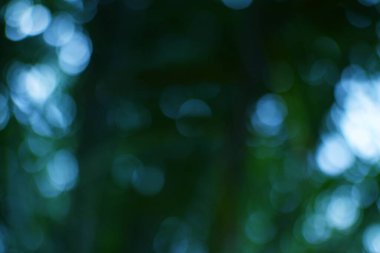 Bu resim koyu yeşil arkaplan üzerinde yüzen yumuşak mavi küreleri gösteriyor, ruhani ve rüya gibi bir ortam yaratıyor..