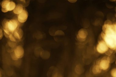 Soyut altın bokeh rüya gibi, ruhani ve şenlikli bir hava yaratıyor. Arkaplan sıcaklığı ve sanatsal ışıltısıyla mükemmel..