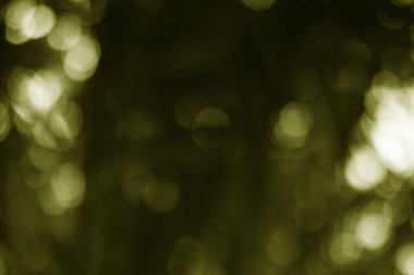 Bulanık zeytinli yeşil ışık sızıntısı arkaplanda ruhani ve rüya gibi bir atmosfer yaratır..