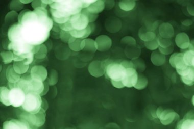 Yeşil bokeh efektini gösteren soyut bir resim. Işık ruhani bir ortam yaratıyor. Yumuşak, rüya gibi ve sakin doğa..