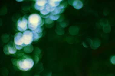 Bulanık objektifin içinde bulanık beyaz ve yeşil kürelerin güzelliğini gösteren bir ışık ve gölge oyunu..