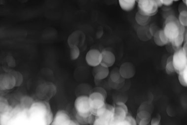 Tek renkli bokeh yumuşak, rüya gibi bir soyut yaratıyor. Hafiften açıklanmış bir zarafet katmak için ideal.