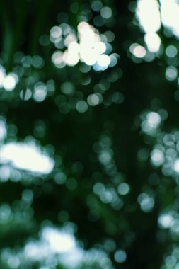 Yumuşak odaklı yeşil ve beyaz Bokeh ruhani ve büyüleyici bir doğa yaratıyor. Derinlik ve rüya kalitesi öneriyor..