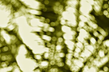 Zeytin rengi paleti olan soyut bir resim rüya gibi ve bulanık bir desen yaratıyor. Yumuşak bokeh ve hareket bulanıklığı akıcılık ve hareket hissi verir..