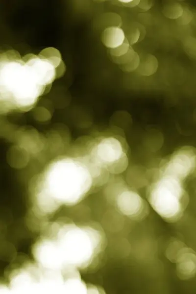 Bir zeytin yeşili bokeh arkaplan parlak, soyut ve rüya gibi bir görsel doku oluşturur. Örtüler veya arka planlar için mükemmeldir..