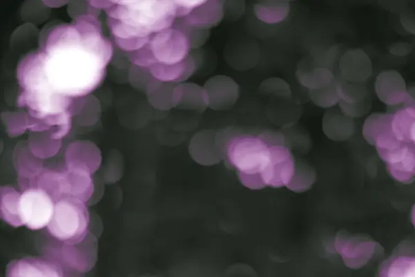 Düşsel odak dışı ışık gösterisi ruhani bir bokeh etkisi yaratır. Gerçeklik ve fantezi arasındaki çizgileri bulanıklaştırır ve soyut bir sahne oluşturur..