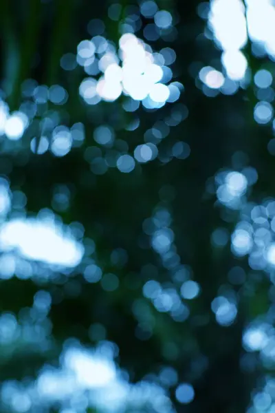 Parlak küreleri olan rüya gibi bir arka plan. Bokeh etkisi sihirli bir dokunuş ekliyor. Örtüler ve sanatsal projeler için mükemmel.