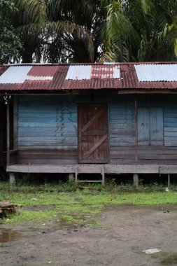 Tropikal yeşilliklere yuva yapmış yıpranmış odunları ve çatıları gösteren kırsal bir ev, basit bir kır tasarımı sergiliyor..