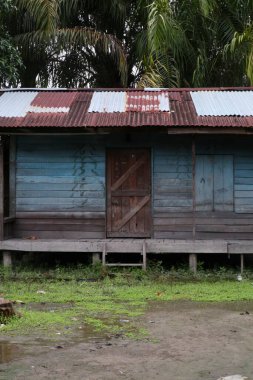 Köy ahşap bir ev tropikal bir iklimde duruyor, yıpranmış dokuyu sergiliyor ve yemyeşil yemyeşil ortamda yuvalanmış..