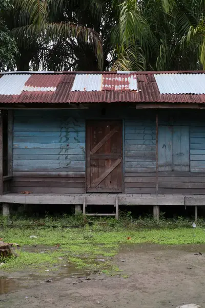 Köy ahşap bir ev tropikal bir iklimde duruyor, yıpranmış dokuyu sergiliyor ve yemyeşil yemyeşil ortamda yuvalanmış..