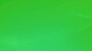 Pürüzsüz, katı yeşil bir arkaplan, dijital kompozitasyon, grafik tasarımı ya da kroma anahtar ekranı olarak kullanmak için mükemmel. Canlı tonu ve temiz dokusu onu çeşitli yaratıcı projeler için ideal kılıyor..