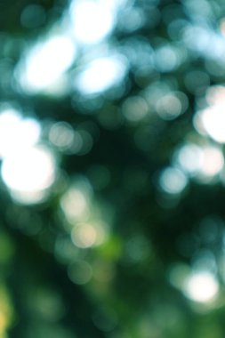 Rüya gibi, yumuşak efekt için yeşil ve mavi renkli soyut bokeh arkaplan.