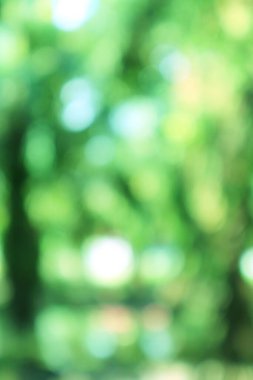 Güneş ışığı ve yapraklarla soyut yeşil bokeh arkaplanı