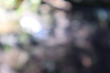 Bokeh ışıkları ve pastel renkleri olan yumuşak, rüya gibi soyut, arka plan için mükemmel..