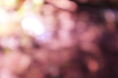 Sanatsal tasarımlar için bulanık pembe bokeh arkaplanı