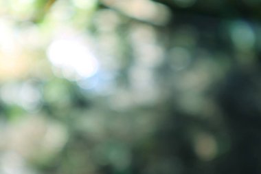 Yeşil ve açık elementli yumuşak bokeh arkaplanı