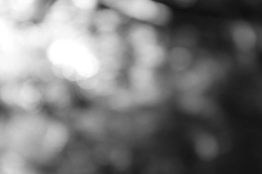 Siyah beyaz güzel soyut arkaplan