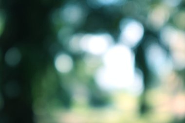 Bulanık yeşil bokeh arka plan huzurlu ve rahatlatıcı bir atmosfer yaratır.