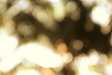 Yumuşak altın ışıkla soyut bir arka plan, rüya gibi ve ruhani bir sahne yaratıyor.