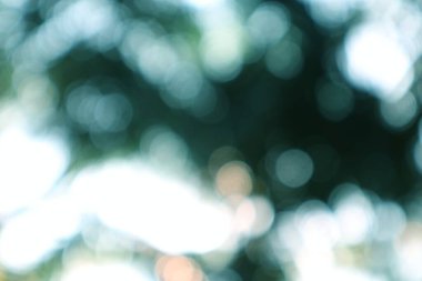 Bulanık bokeh ışık efektleri ve parlayan daireleri olan rüya gibi soyut bir arkaplan.