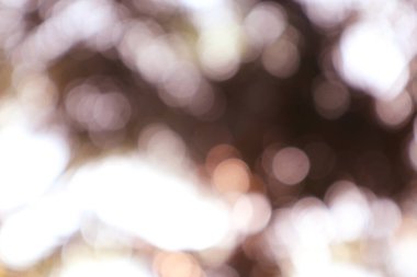 Bulanık ışıkları, yumuşak renkleri ve zarif tasarımı olan rüya gibi soyut bokeh arkaplanı