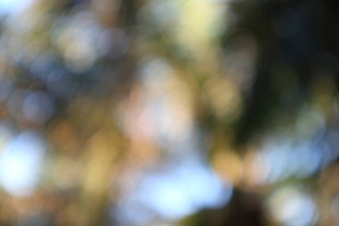 Çeşitli ışık noktaları ve dairelerle bokeh efektleri içeren bulanık bir arkaplan. Görüntünün odak dışı doğası yumuşak ve rüya gibi bir estetik yaratır. Renklerin karışımı görsel olarak çekici bir doku sağlar..