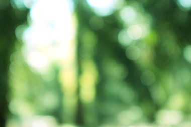 Büyüleyici soyut bir gösteri. Canlı yeşil Bokeh ışıkları. Göksel bir ormanda..