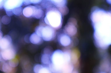 Yumuşak mor ve beyaz bokeh ışık küreleri büyülü bir rüya etkisi yaratır..