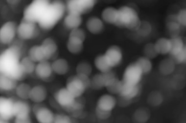 Yumuşak bulanık bokeh ışıklarının ruhani, soyut arkaplanı rüya gibi ve sanatsal bir etki yaratıyor. Örtüler ya da dokusal tasarımlar için mükemmel..