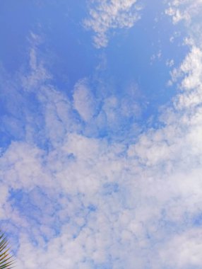 Yumuşak, kabarık beyaz bulutlu parlak mavi gökyüzü huzurlu ve açık bir manzara yaratıyor. Yüksek irtifa manzarası, sakin ve havadar bir atmosfer.