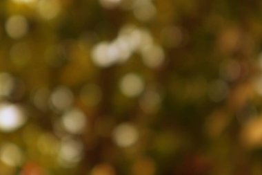 Sıcak sonbahar tonlarına sahip ince bokeh arkaplan sakin bir hava yaratır.