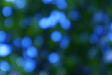 Mavi ve yeşil tonlu rüya gibi arka plan sakin bir atmosfer yaratıyor.