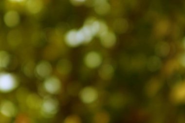 İnce yeşil bokeh arkaplan tasarım projeleri için ideal Yumuşak puslu bir his gerekir