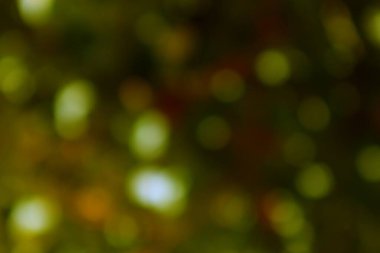 İnce zeytin ve altın bokeh nüanslı bir atmosfer arkaplanı oluşturur