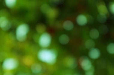 Tasarımlar ve sanatsal projeler için rüya gibi yeşil bokeh arkaplanı ideal