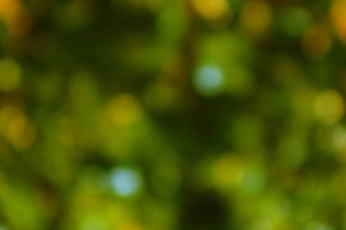 Yumuşak bir yeşillik odağı ve güneş, bulanık renkler, botanik bir his ve organik dokularla dolu rüya gibi, soyut bir zemin yaratır..