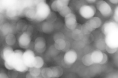 Hafif gri tonlama, ruhani, odaklanmamış ışık ve hava kalitesi çemberleriyle bokeş.