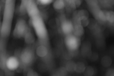 Yumuşak, bulanık ışık kürelerinin gri ölçekli soyut bileşimi zarif bir dokunuşla rüya gibi ve ruhani bir arkaplan yaratır.