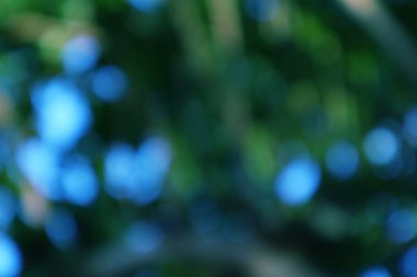 Büyüleyici soyut bir Bokeh tasarımı. Mavi ve yeşilliklerin uyumlu bir karışımı. Huzurlu, rüya gibi bir özü çağrıştırıyor.