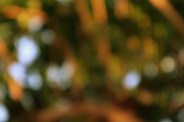 Odaklanamayan bir hayal, güneş ışığıyla bokeh, soyut bir sanat yaratıyor.