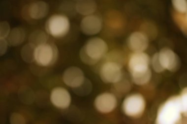 Anımsatıcı bulanık sonbahar görüntüsü büyülü rüya gibi bir orman sahnesini akla getiriyor.