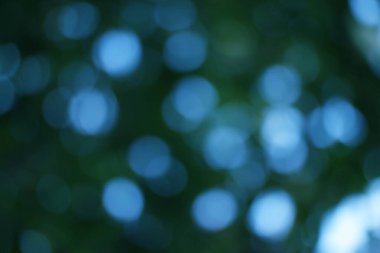 Mavi ve yeşil Bokeh ışıklarından oluşan bir dans rüya gibi, ruhani ve soyut bir zemin yaratır..