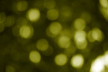 Zeytin yeşili bokeh ışıkları yumuşak, soyut, rüya gibi bir arkaplan yaratır.