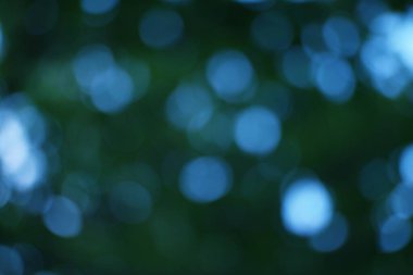 Bulanık ışıkların ruhani bir oyunu büyülü, doğadan esinlenilmiş soyut bir arka plan yaratır.