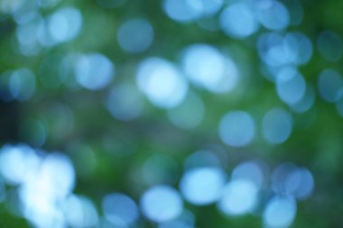 Yeşil ve maviyi gösteren rüya gibi bir Bokeh, mükemmel soyut bir arka plan elementi.