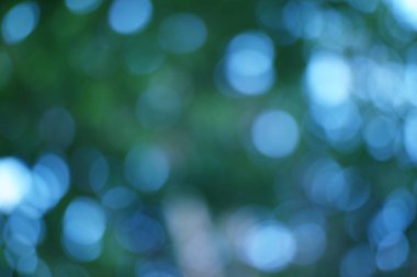 Büyüleyici mavi ve yeşil Bokeh rahatlatıcı ve sanatsal bir arka plan yaratır.